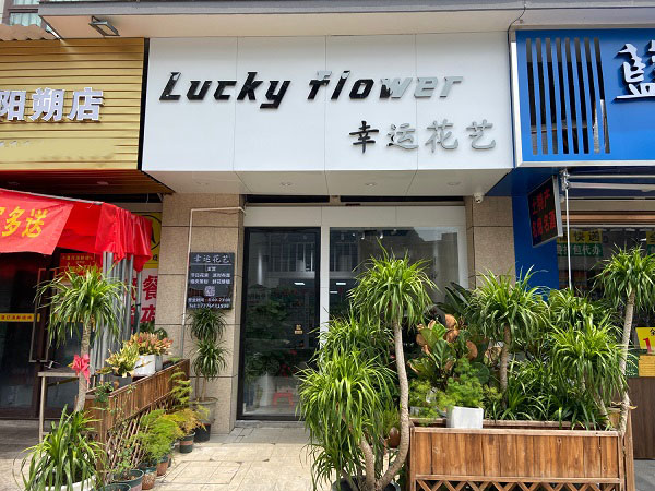 桂林阳朔县附近花店