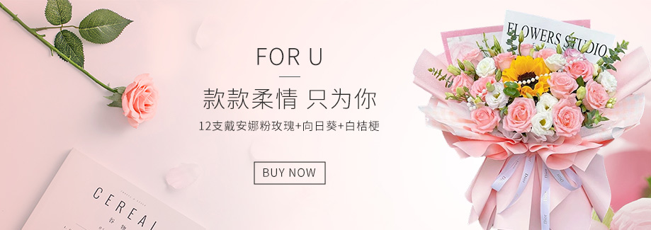 19朵苏醒玫瑰