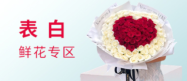 玫瑰花专区