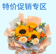 特价鲜花
